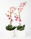 Arrangment with pink orchids